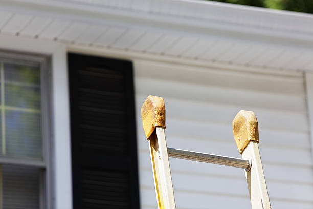 Best Custom Trim and Detailing for Siding  in Midway, GA